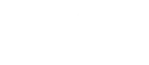 suiveznous roseandfly Rose And Fly