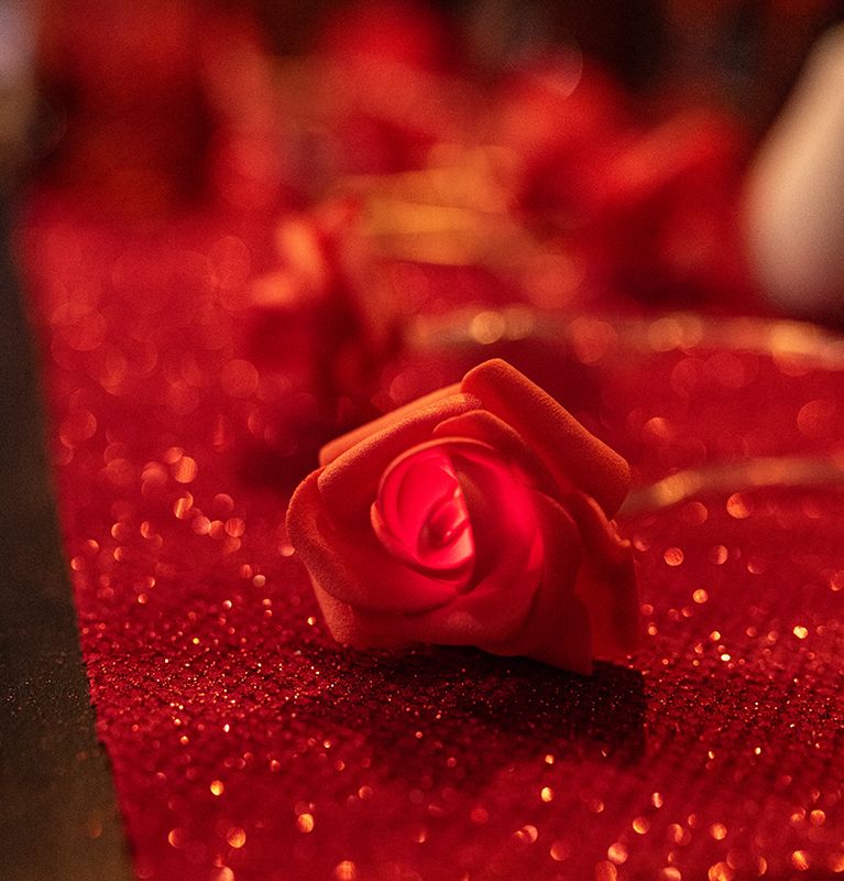 Guirlande lumineuse de 10 roses en mousse 1,5 m, lumière chaude pour décoration romantique ou dîner à deux