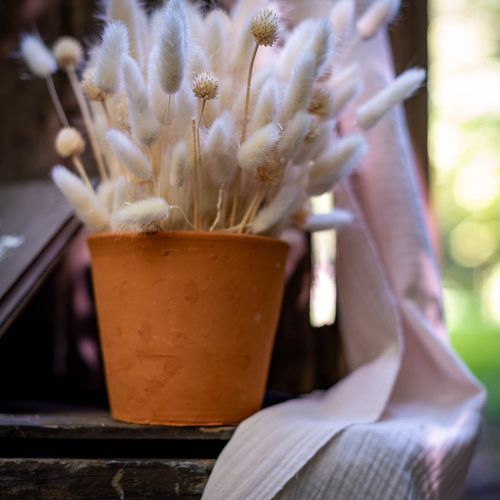 Pot Surabaya en Terre Terracotta 11,5cm