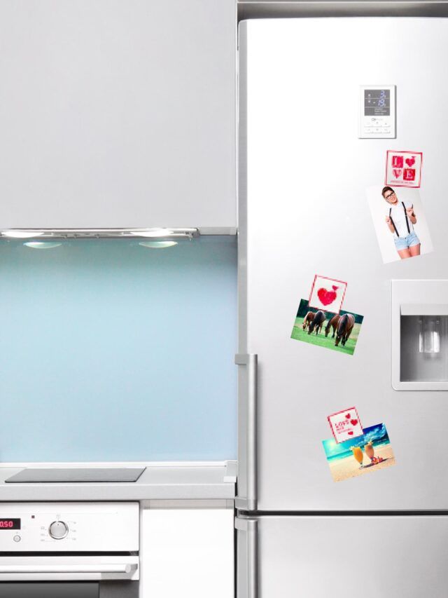 3 magnets sur réfrigérateur