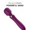 2-en-1 Wand et Vibro Ultra Puissant