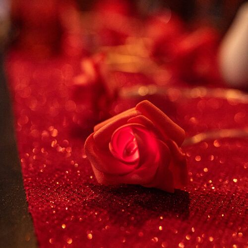 Guirlande lumineuse de 10 roses en mousse 1,5 m, lumière chaude pour décoration romantique ou dîner à deux
