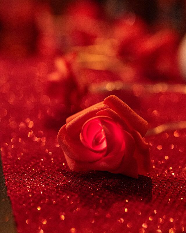 Guirlande lumineuse de 10 roses en mousse 1,5 m, lumière chaude pour décoration romantique ou dîner à deux