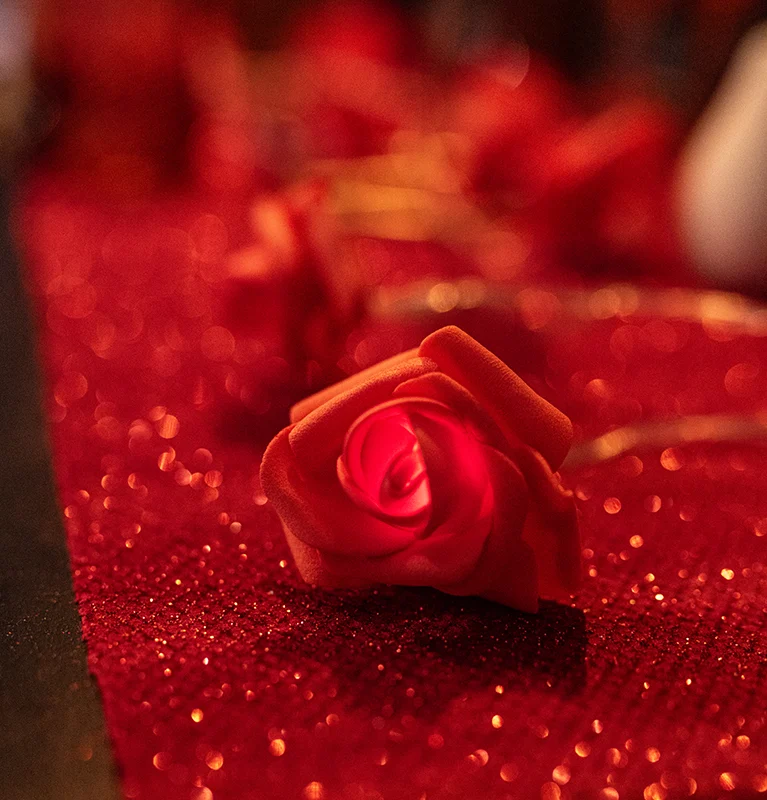 Guirlande lumineuse 10 roses